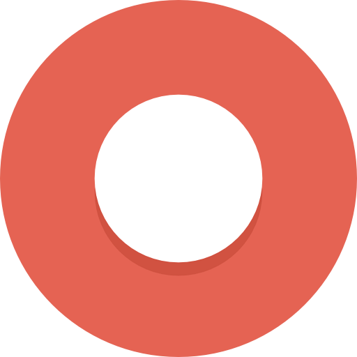 Record icon
