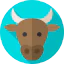 Taurus icon 64x64