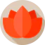 Lotus icon 64x64