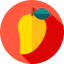 Mango icon 64x64
