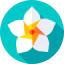 Flower icon 64x64