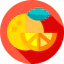 Orange ícono 64x64