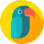 Parrot icon 64x64