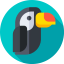 Toucan icon 64x64