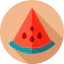 Watermelon icon 64x64