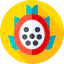Dragon fruit icon 64x64