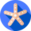 Starfish icon 64x64