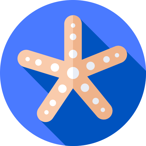 Starfish icon