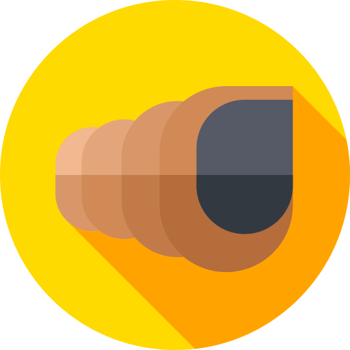 Seashell icon