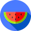 Watermelon icon 64x64