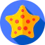 Starfish icon 64x64