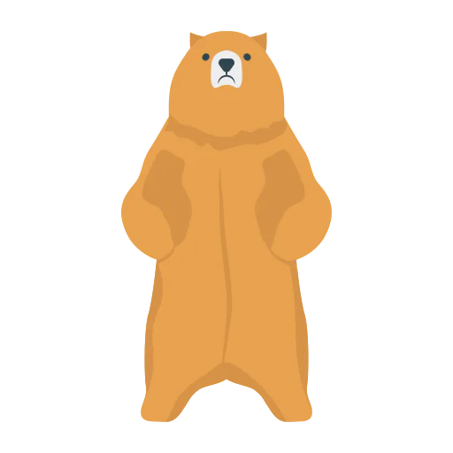 Bear icon