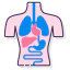 Anatomy icon 64x64