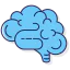 Brain icon 64x64