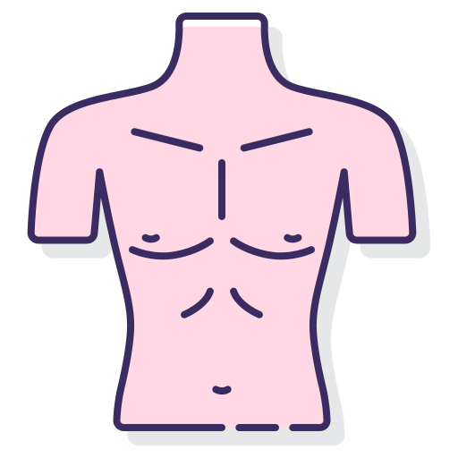 Chest icon