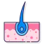 Hair icon 64x64