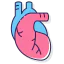 Heart icon 64x64