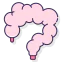 Intestine icon 64x64