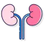 Kidneys Symbol 64x64