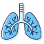 Lungs ícono 64x64