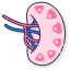 Lymphatic vessel icon 64x64