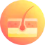 Dermatology icon 64x64