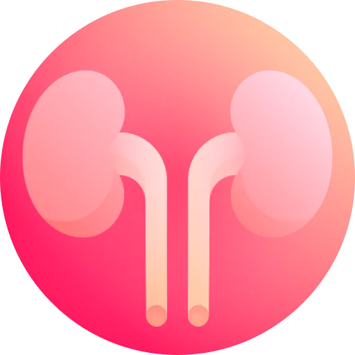 Kidneys icon