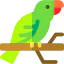 Parrot icon 64x64