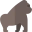 Gorilla Ikona 64x64