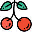 Cherries アイコン 64x64
