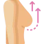 Mastopexy icon 64x64