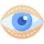 Blepharoplasty icon 64x64