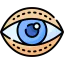 Blepharoplasty icon 64x64