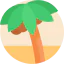 Palm Ikona 64x64