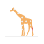 Giraffe icon 64x64