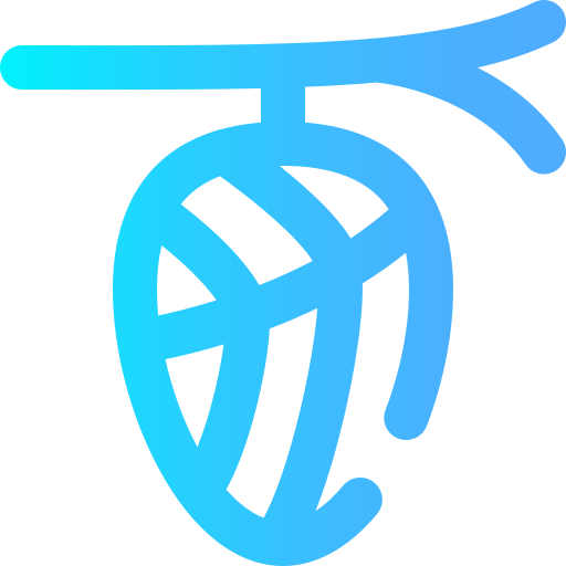 Cocoon icon