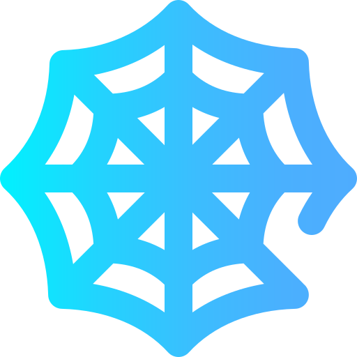 Spider web icon
