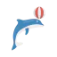 Dolphin icon 64x64
