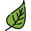Leaf icon 64x64