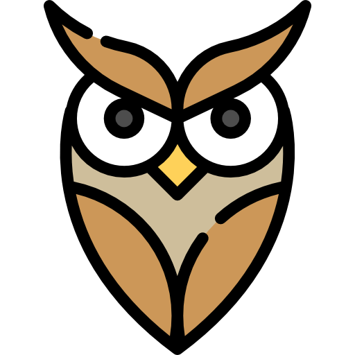 Owl icon