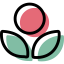 Flower Symbol 64x64