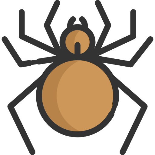 Spider icon