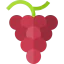 Grapes icon 64x64