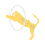 Lion icon 64x64