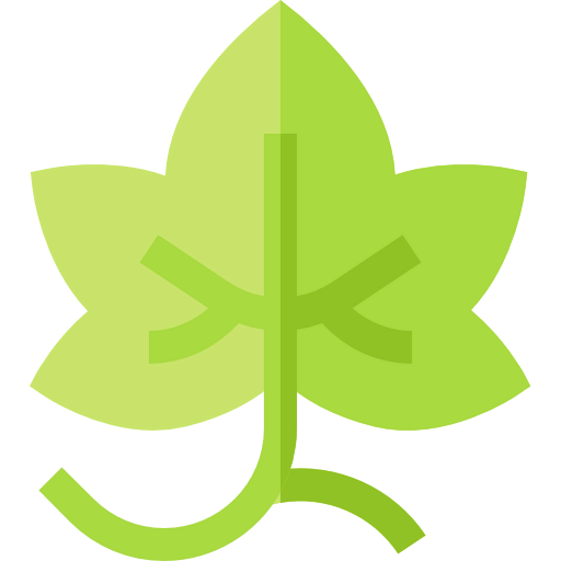 Grape icon