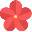 Flower icon 64x64