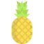 Pineapple icon 64x64