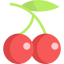 Cherry icon 64x64