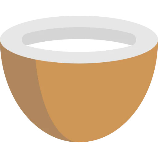 Coconut icon