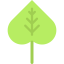 Лист иконка 64x64